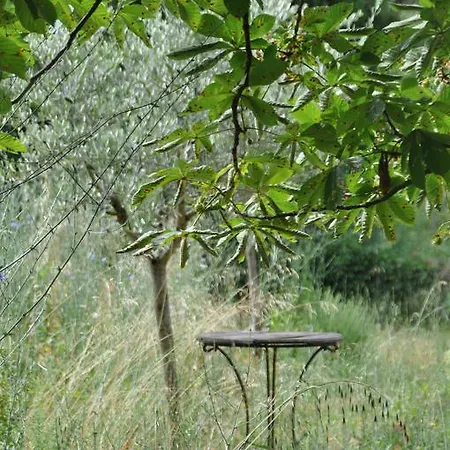 Rose En Provence Panzió *